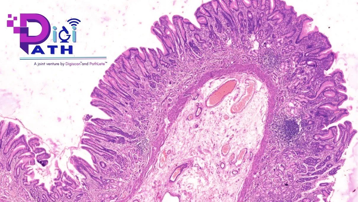 DigiPath: Pioneering the Digital Revolution in Diagnostic Pathology
