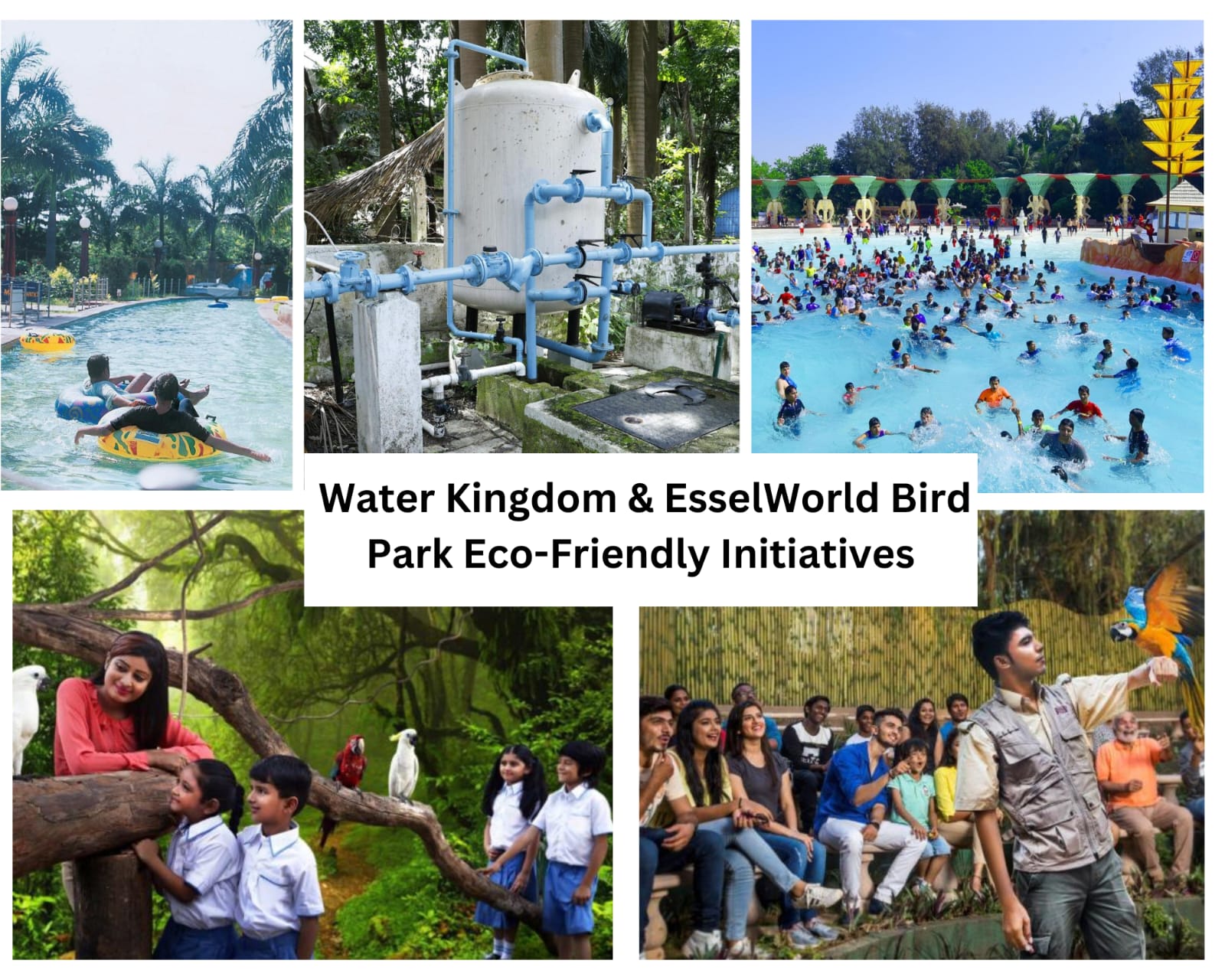 Water Kingdom: Sustainable Practices and Eco-friendly Initiatives on World Environment Day 2024