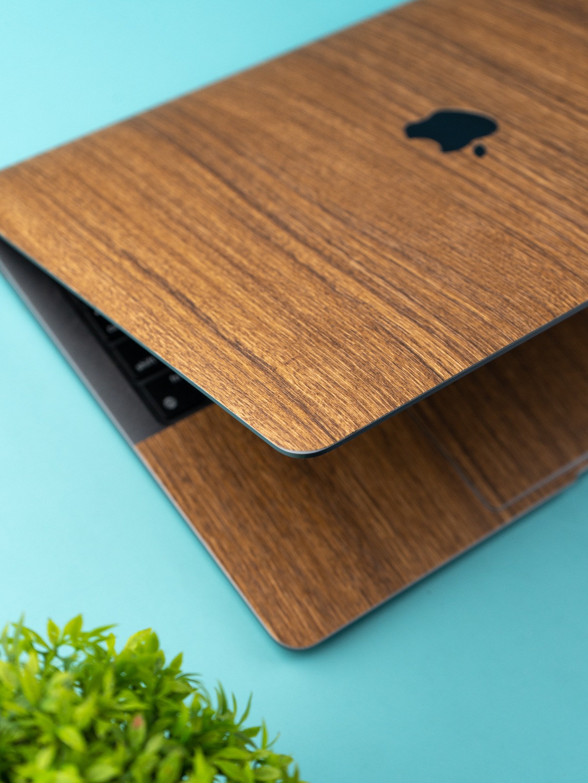 Unveiling the Best Laptop and MacBook Skins in India