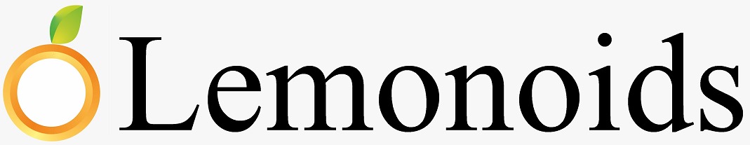 Lemonoids: Digital Marketing Training in Hyderabad