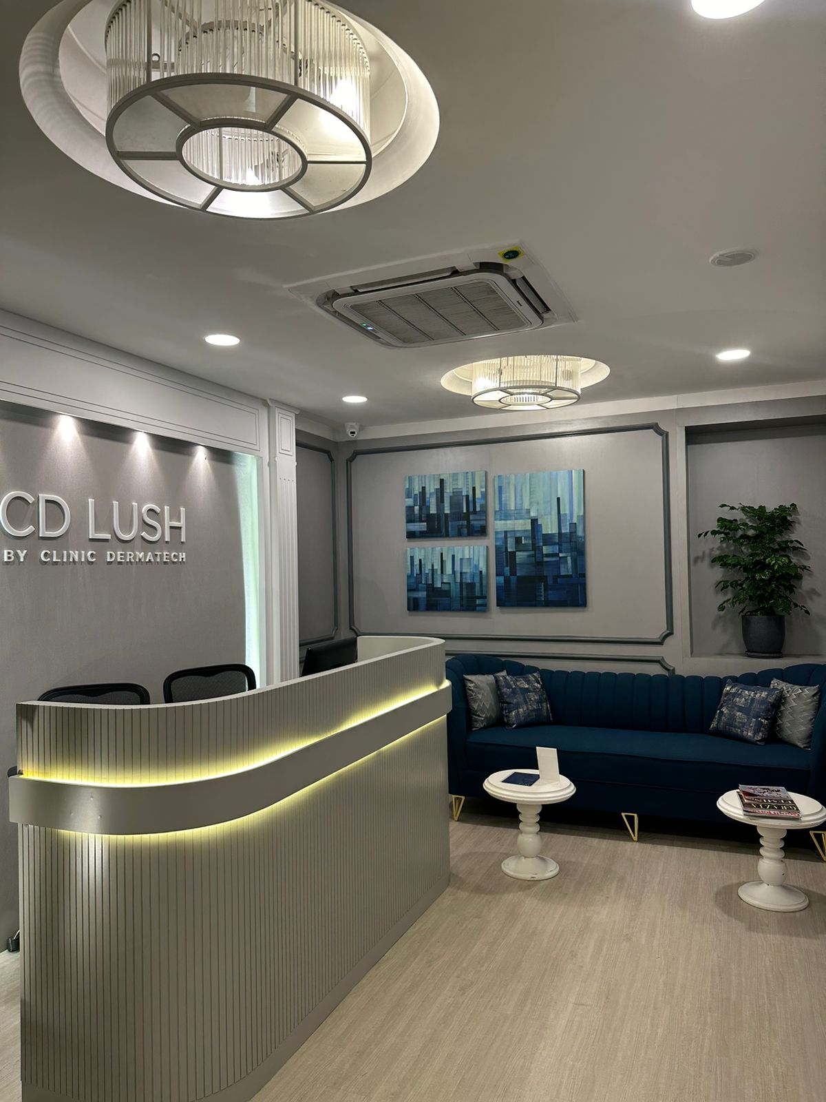 Clinic Dermatech launches its Ultra Luxury arm CD LUSH in Safdarjung Enclave, New Delhi.