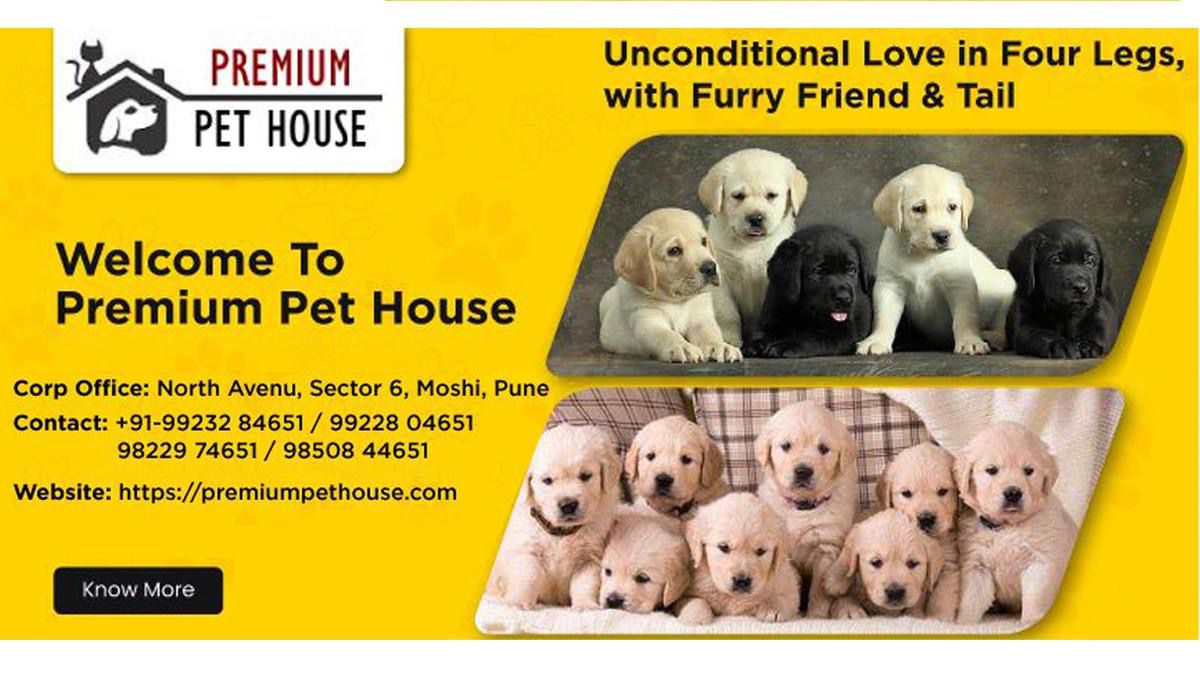 Popular Dog Breeders Premium Pet House And BestForPets Part Ways