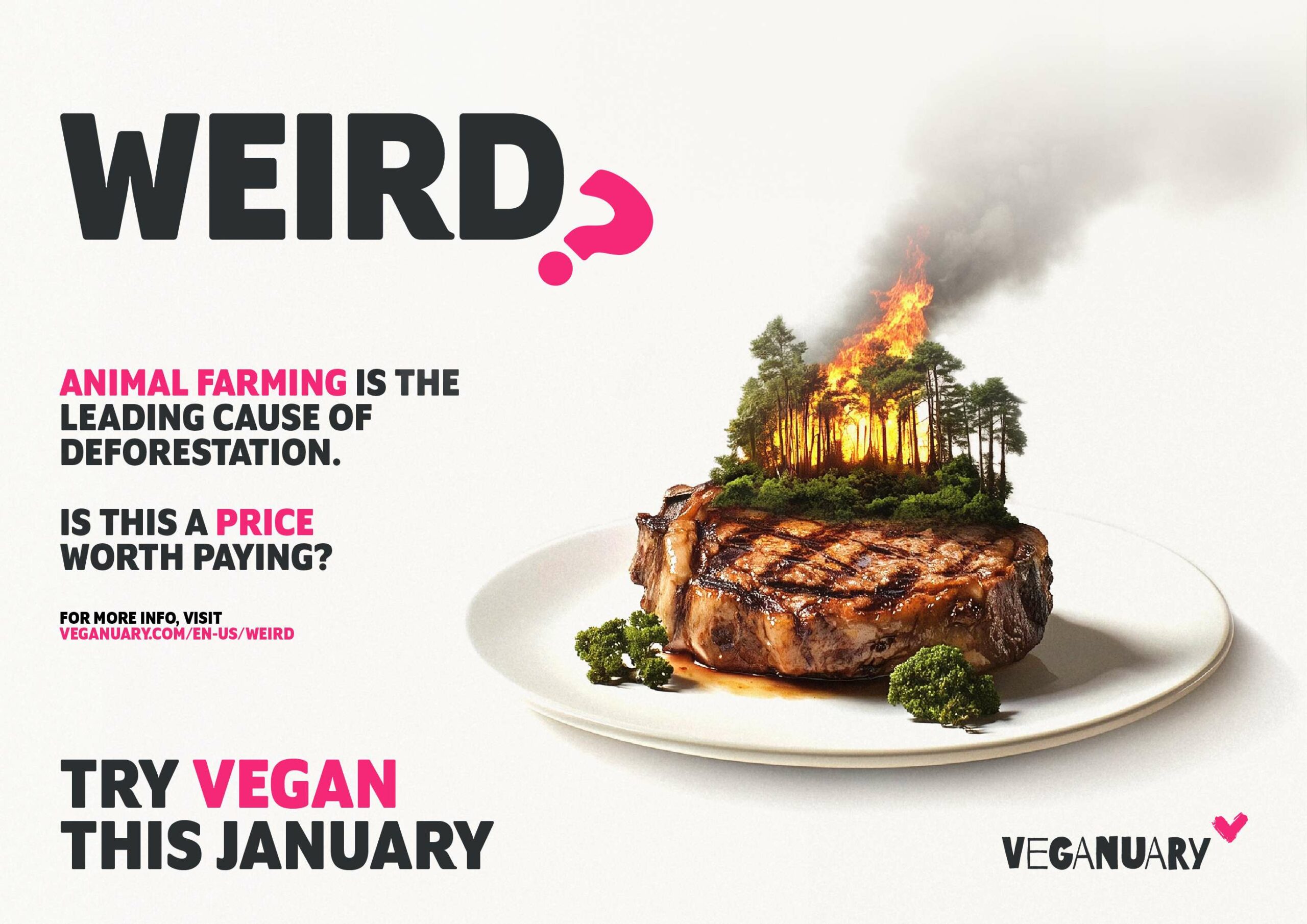 Mallika Sherawat says ‘food doesn’t have to be weird’