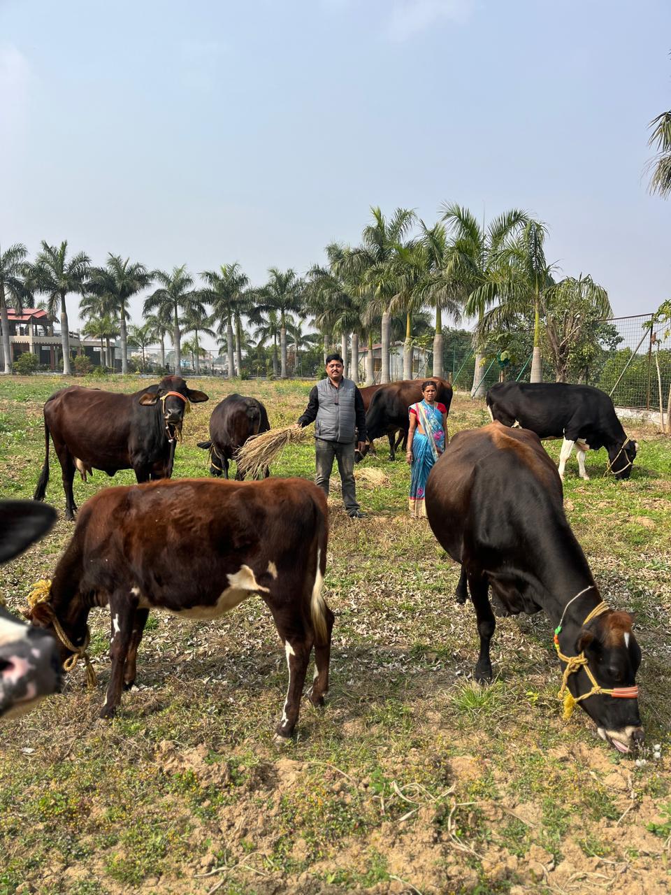 Prakash Group Empowers Rural Women by Distributing Cows Ranchi