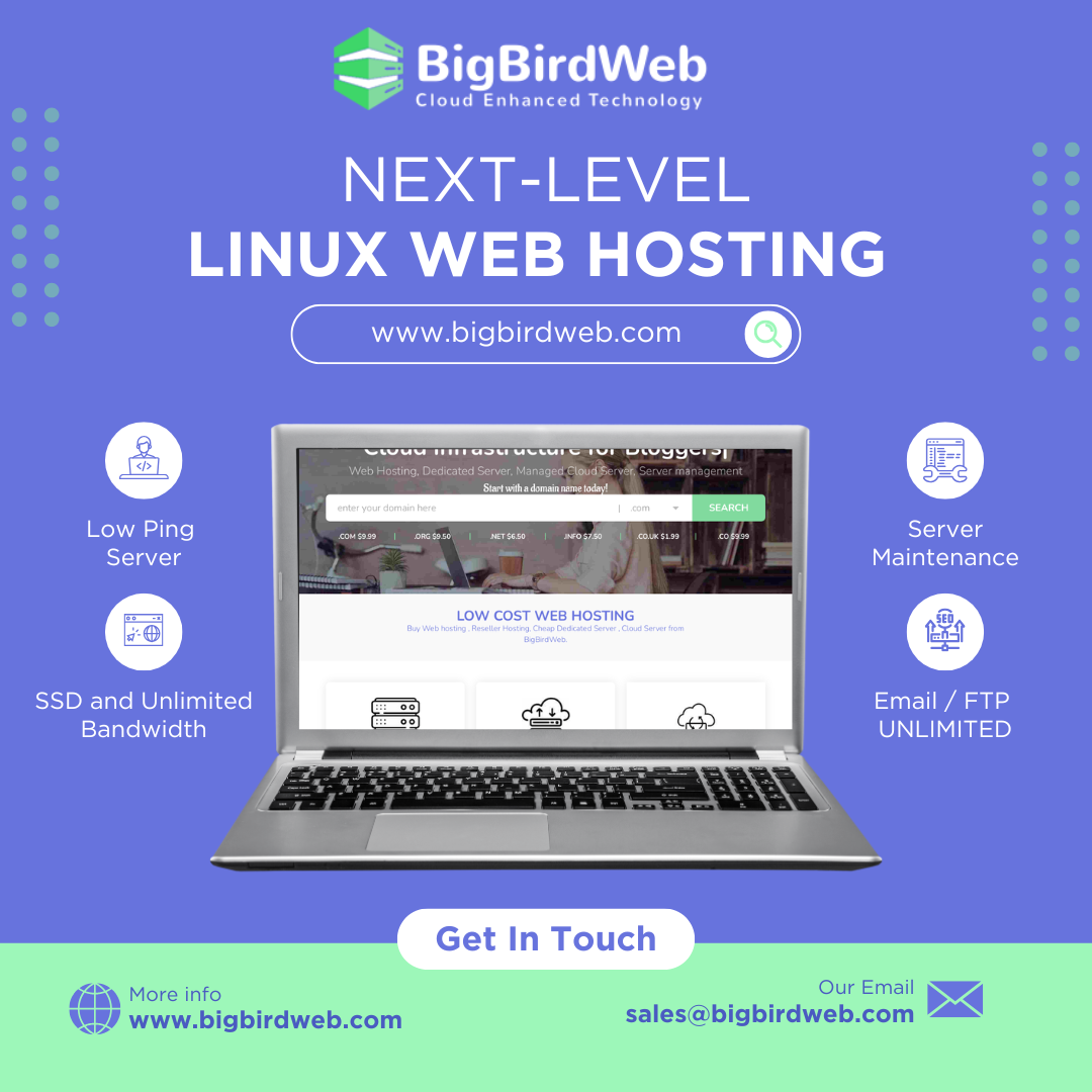 Bigbirdweb: Celebrating Over a Decade of Global Excellence in Managed Web Hosting