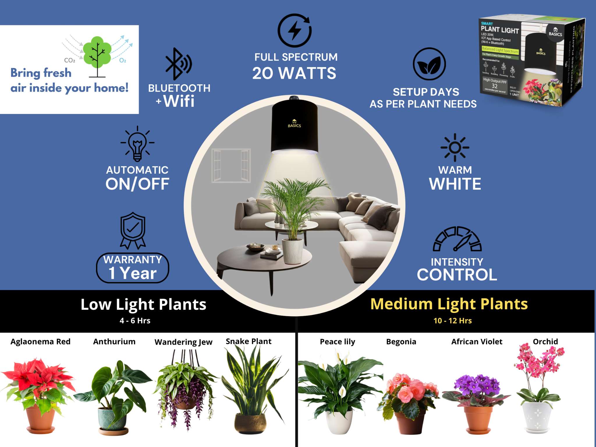 BASICS: Plant Light + Indoor Plants = Healthier Air & Healthier You