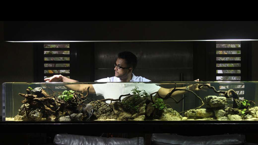 Bringing Aquascaping to the Forefront of Modern Design in India – Abhik Mazumdar, Founder, Reef and Stream