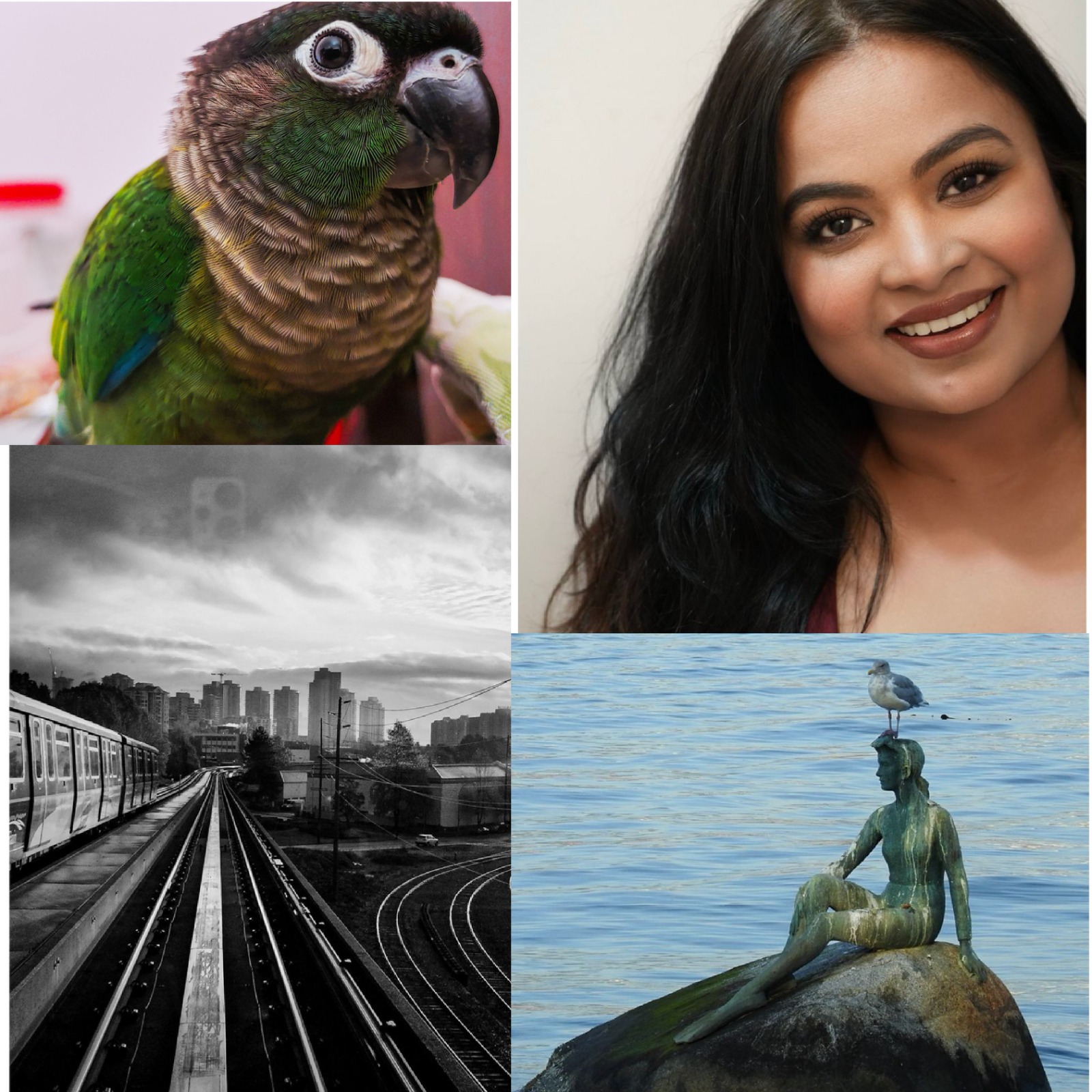 Why I Refuse to Choose One Genre: A Photographer’s Case for Creative Freedom