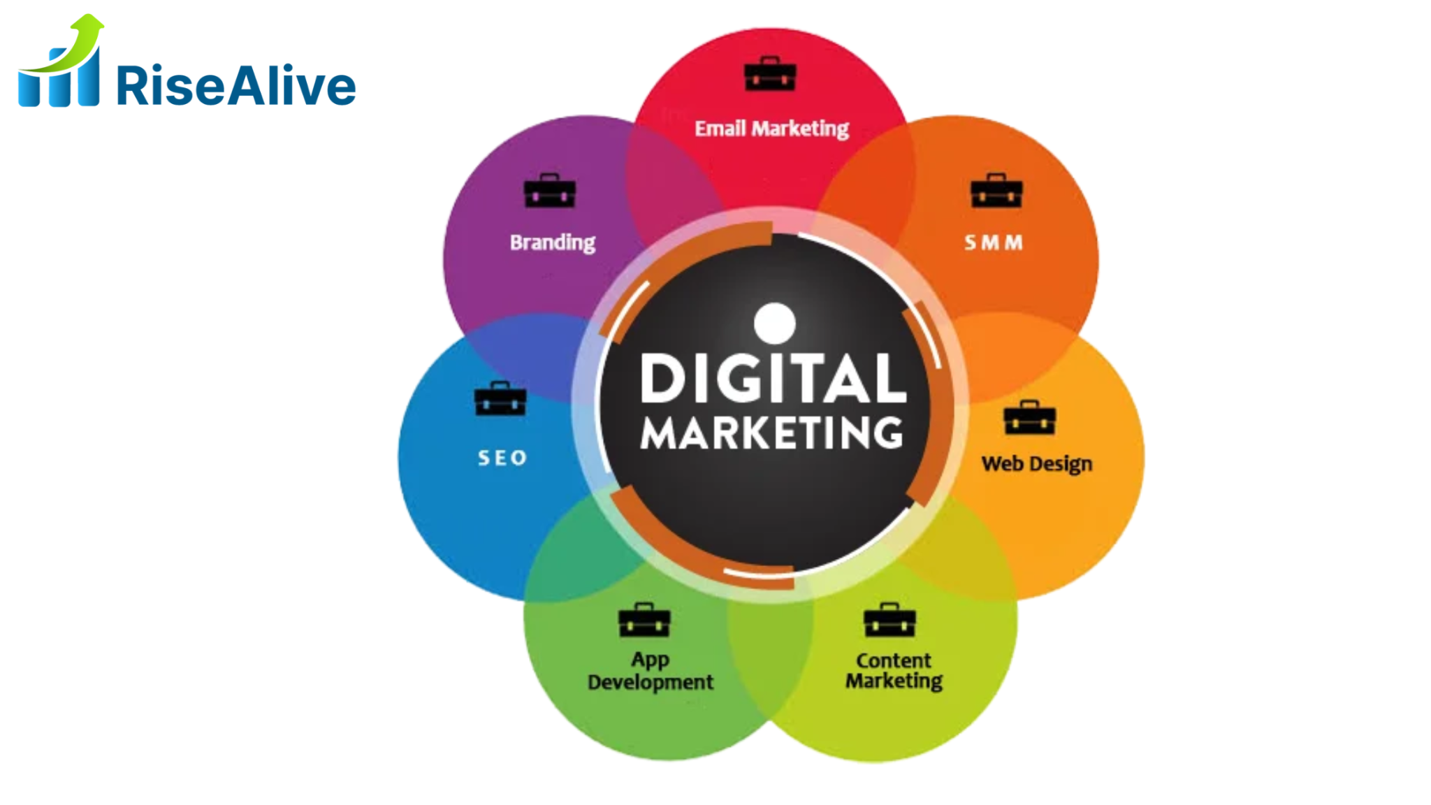 Best Digital Marketing Company in India – RiseAlive