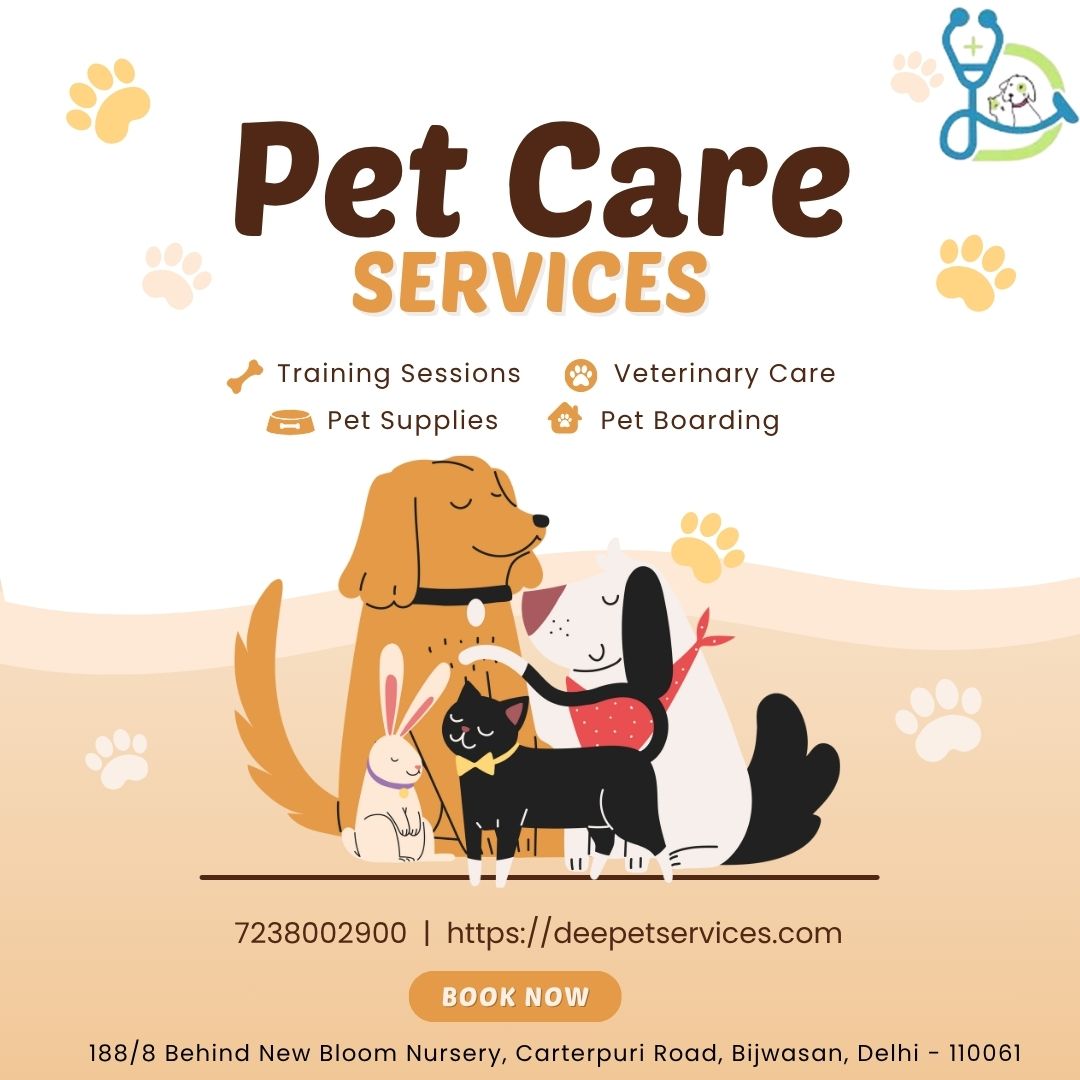 DeePet Services – Delhi NCR’s Trusted At-Home Pet Care Partner