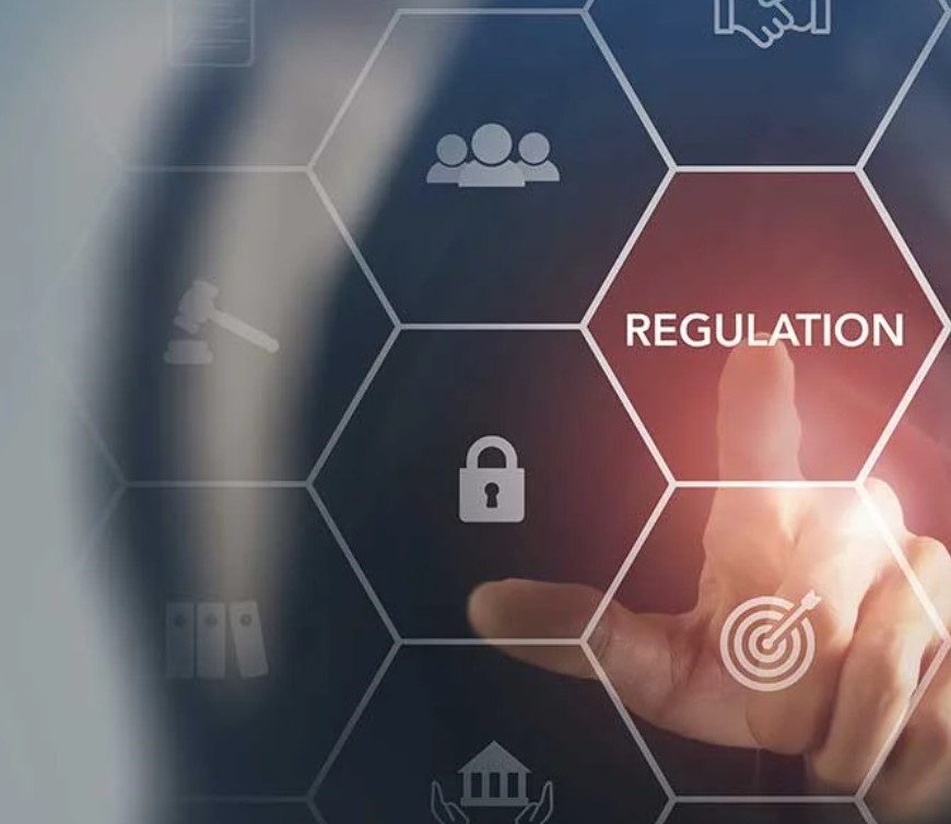Navigating Tech Regulation: Insights from Global Experiences