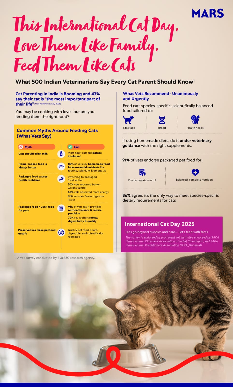 New Data Debunks Cat Food Myths with Veterinary Support on International Cat Day