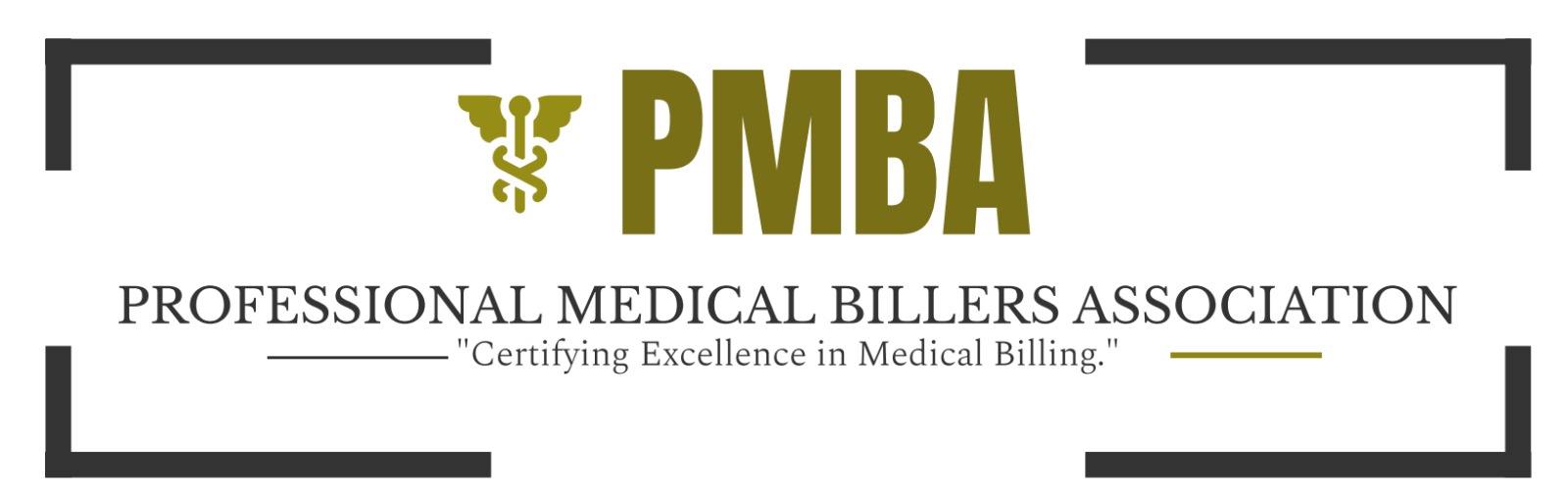 PMBAUSA LLC: Transforming Healthcare Careers with World-Class Medical Coding and Medical Billing Courses
