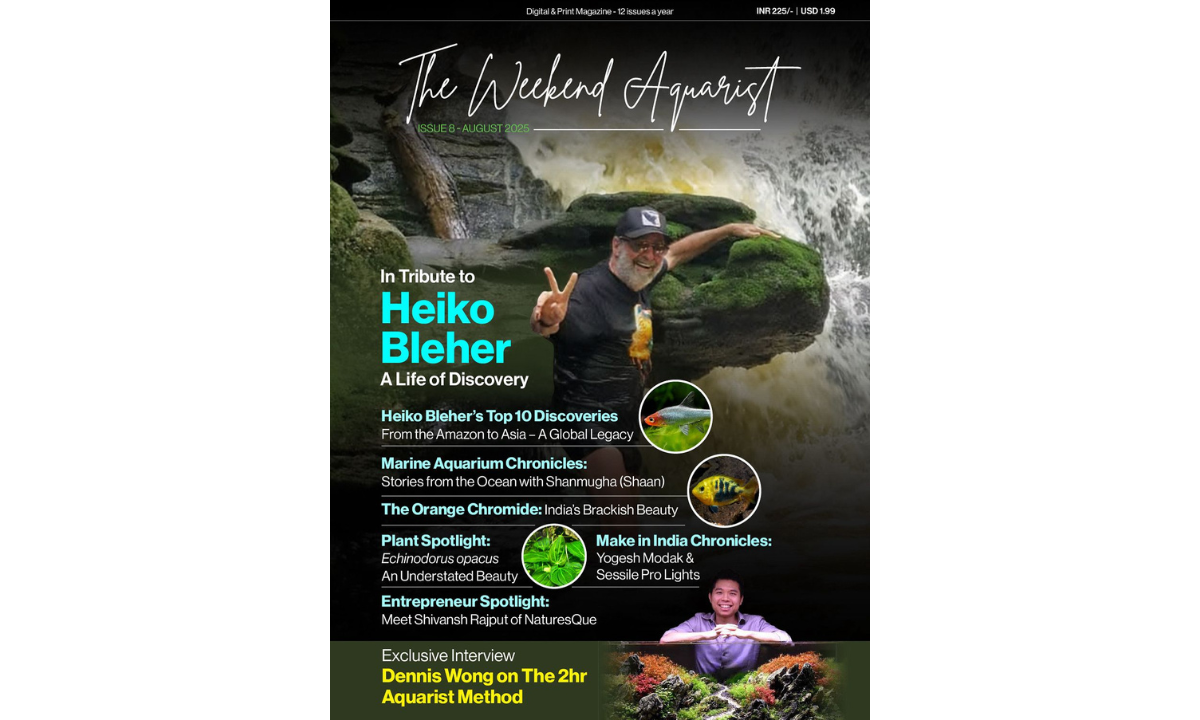The Weekend Aquarist Magazine (August) Issue: A Special Commemorative Edition Honouring Heiko Bleher