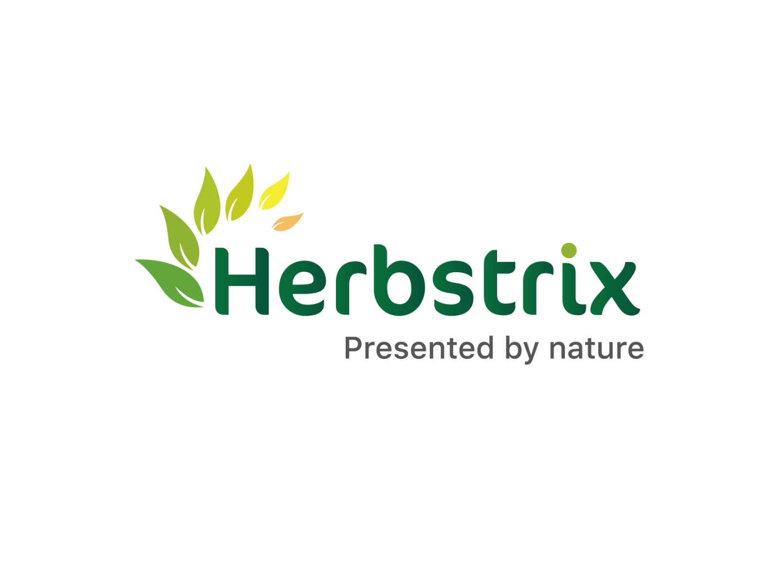 Herbstrix Brings Nature – Backed Wellness to Modern India