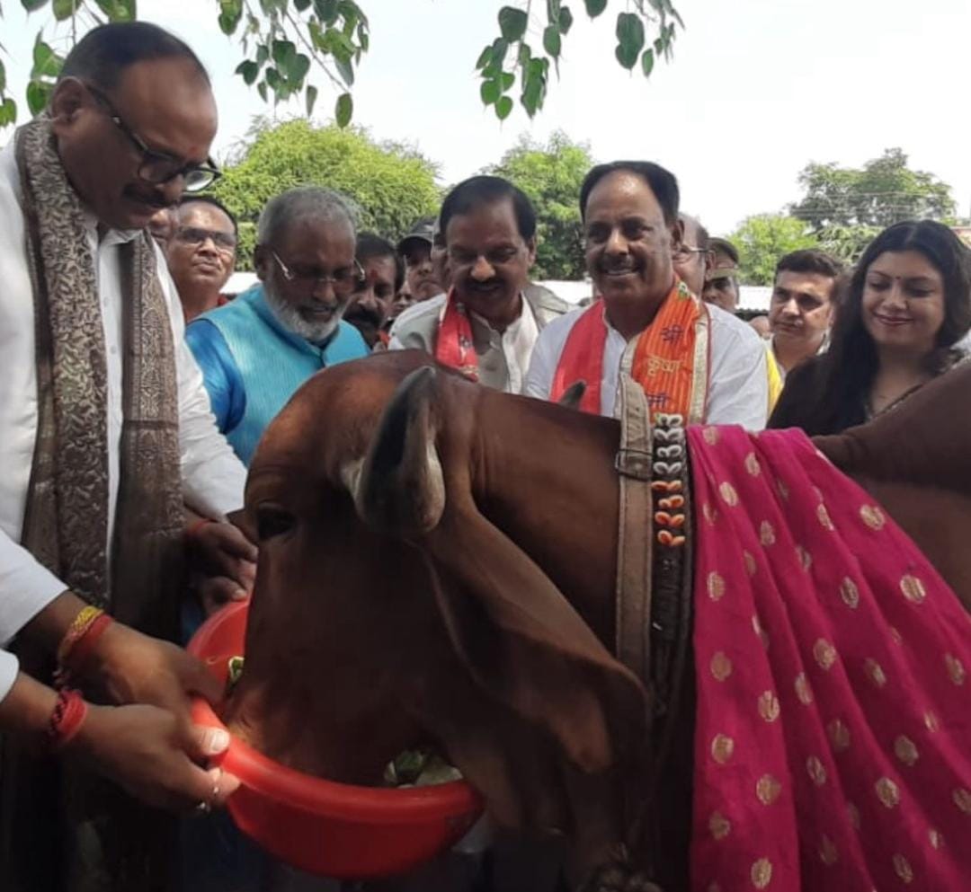 UP Deputy CM Brajesh Pathak Inspects Noida Sector-14 Cow Shelter